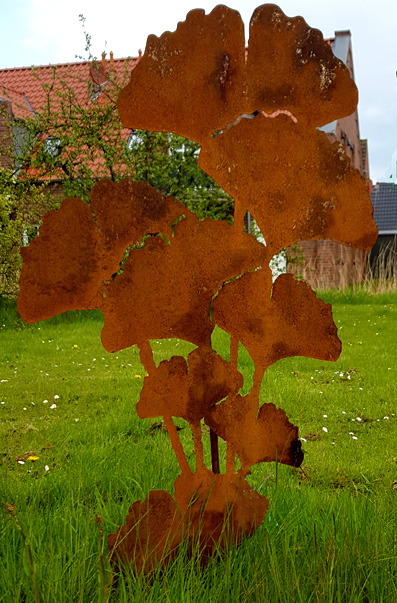Sichtschutz-Ginkofamilie Ginko Familie