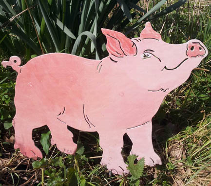 Schwein Angelo  bunte Tiere