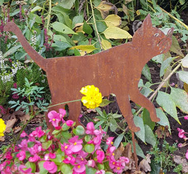 kl-laufende-katze-2