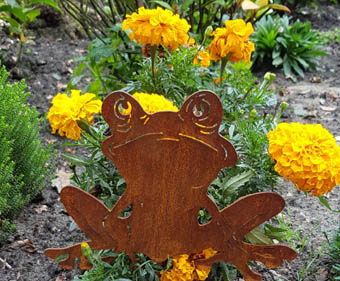 Frosch-gustav Teichdekoration, Frosch Gustav kl