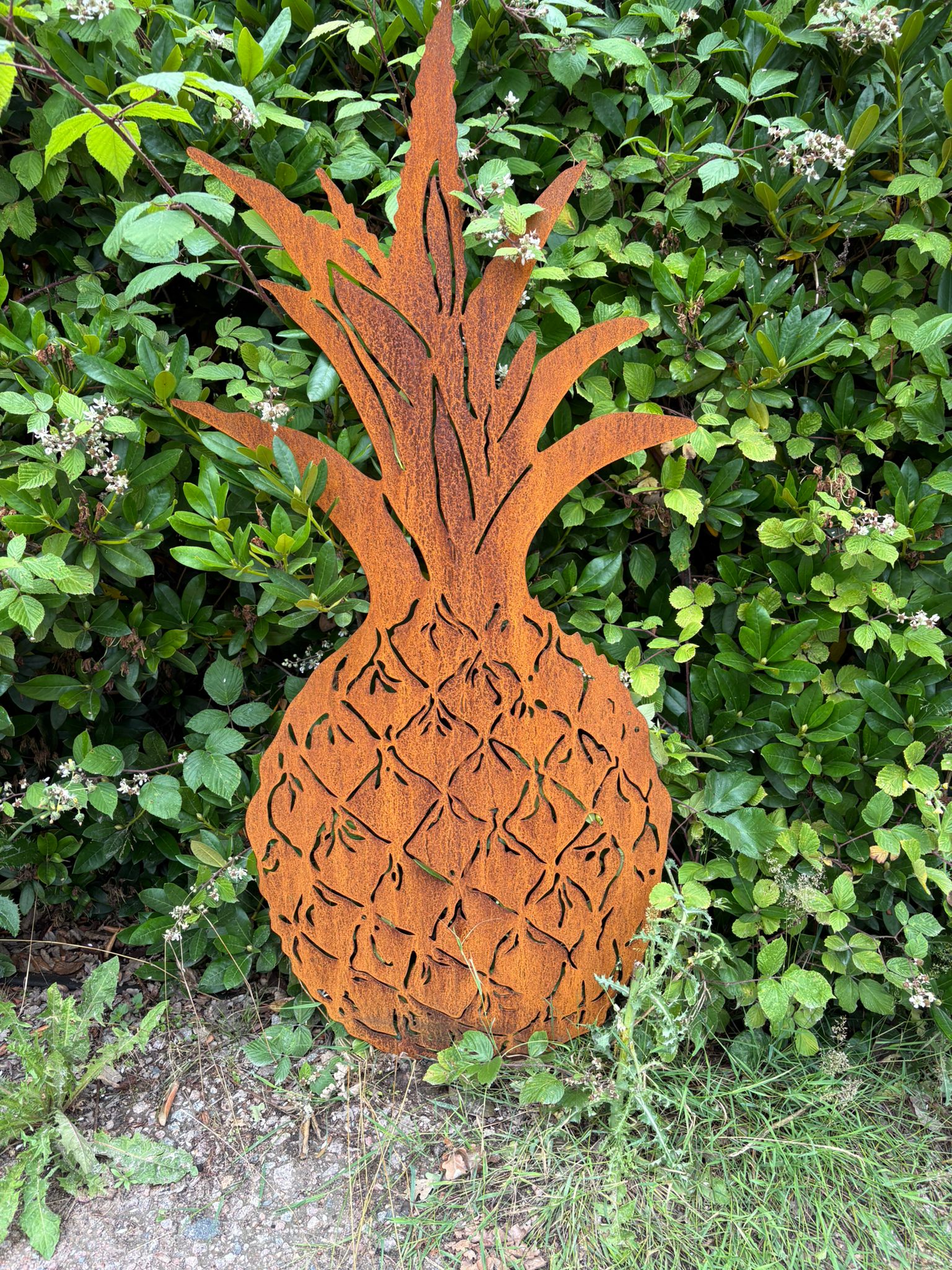 Ananas gr XL Ananas gr XL