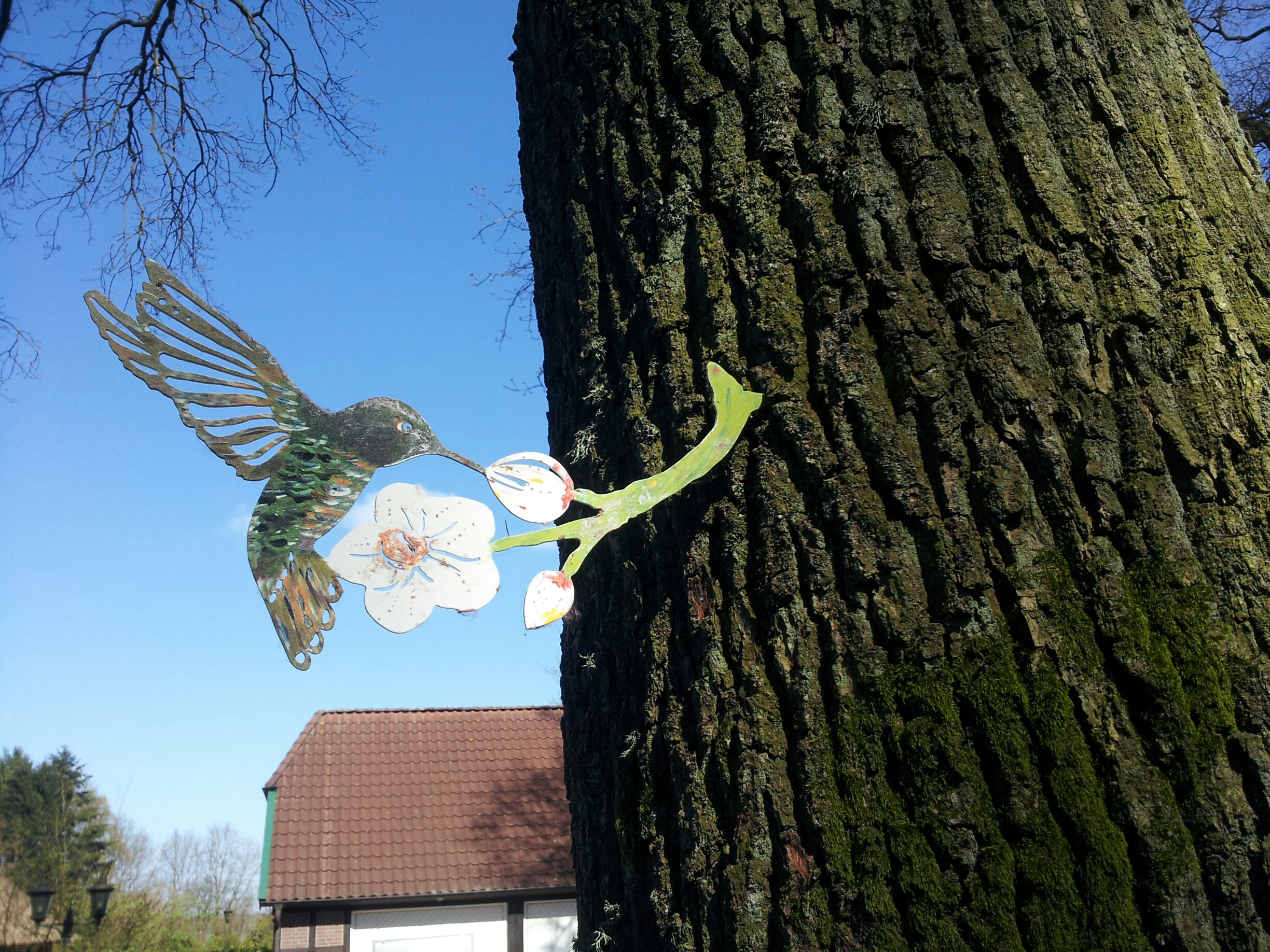 Kolibri Tülü bunte Tiere