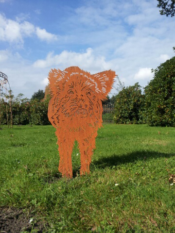 Wildschwein Frischling Fredo