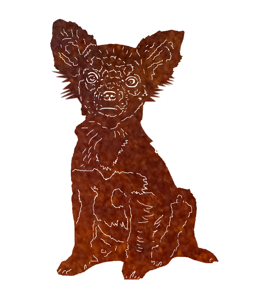 Chihuahua-Kessy Chiuhahua Kessy