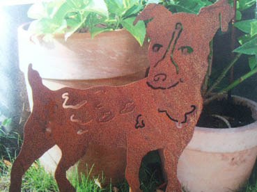 67114b95b54ad1ae1bb9165fcaa791d6 Jack Russel