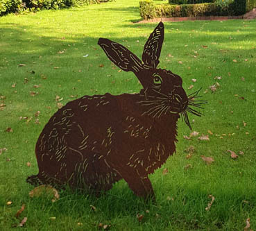 Hase-Erwin
