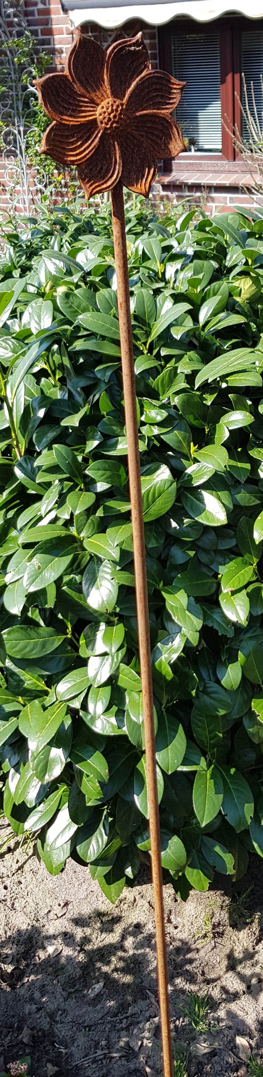 2875fee37a21cd34e478907c03347149 Rosenstab/ Pflanzenstab